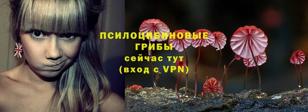 a pvp Корсаков