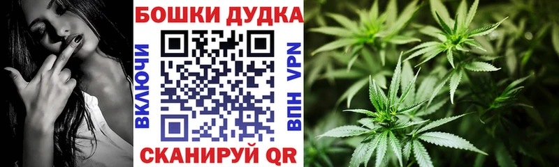 mega как зайти  Кировград  Бошки Шишки тримм 